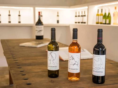 Villa Palma, 7 pièces, 12 personnes - photo_1011853463887