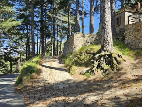 Maison Quenza, 3 pièces, 3 personnes - photo_1011854697200