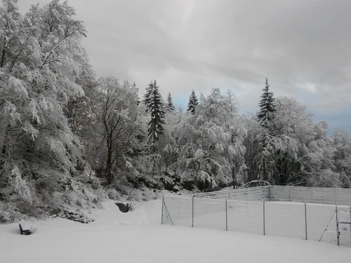 Studio Les Carroz d'Araches, studio flat, 4 persons - photo_1011854722138