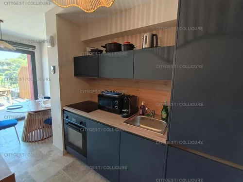 Appartement Collioure, 2 pièces, 4 personnes - photo_1011856461518