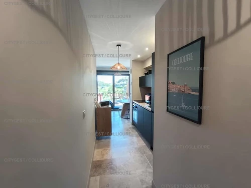 Appartement Collioure, 2 pièces, 4 personnes - photo_1011856461518