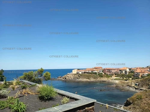Appartement Collioure, 2 pièces, 4 personnes - photo_1011856461518