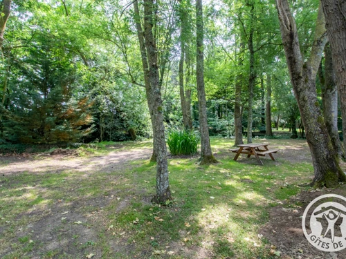 Gasthaus La Ménitré, Studio, 2 Personen - photo_1011824623113