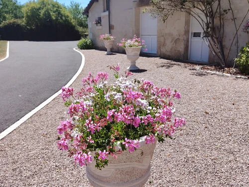 Gîte Frédille, 4 pièces, 6 personnes - photo_14993942940