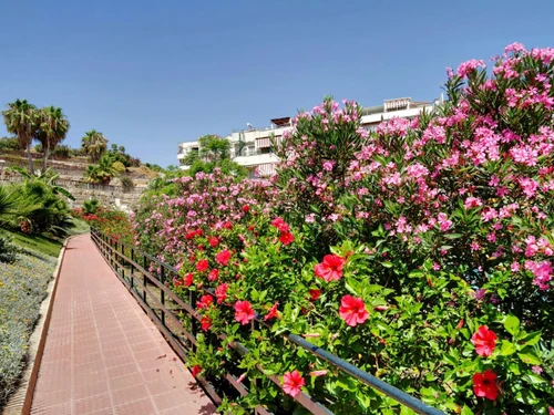 Apartamento Rincón de la Victoria, 2 dormitorios, 4 personas - photo_18483124960