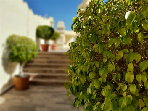 Apartment Benalmádena, 2 bedrooms, 4 persons - photo_18483147425