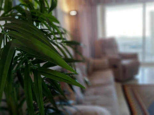 Apartment Benalmádena, 2 bedrooms, 4 persons - photo_18483148111