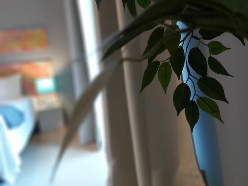 Apartment Málaga, 1 bedroom, 2 persons - photo_18483152060