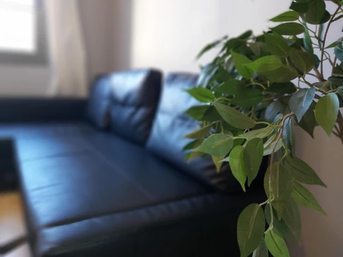 Apartment Málaga, 1 bedroom, 4 persons - photo_18483147028