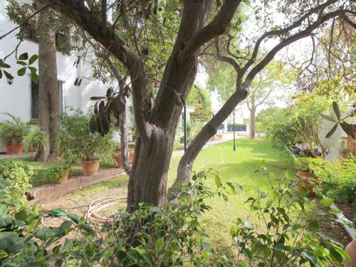 Villa Málaga, 6 dormitorios, 12 personas - photo_18483151586