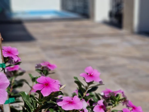 Villa Málaga, 3 pièces, 4 personnes - photo_19542774489