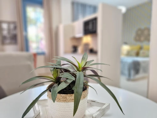 Apartment Málaga, 1 bedroom, 2 persons - photo_19956245057