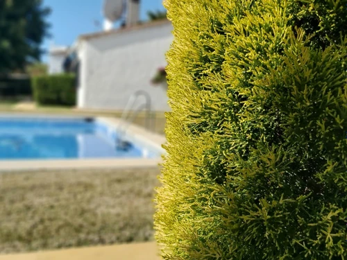 Villa Marbella, 2 dormitorios, 4 personas - photo_1011402967325