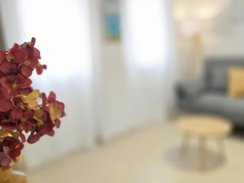 Apartamento Benalmádena Costa, 1 dormitorio, 3 personas - photo_1011690775585