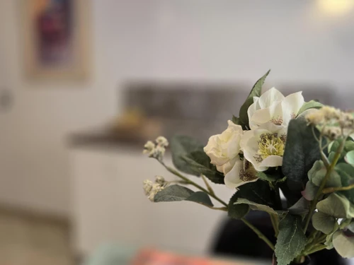 Apartamento Málaga, 1 dormitorio, 4 personas - photo_1011827627248