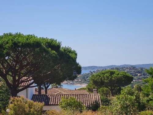 Villa Sainte-Maxime, 5 bedrooms, 10 persons - photo_1011406101865