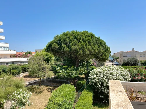 Apartamento Mauguio, estudio, 4 personas - photo_1011823518837