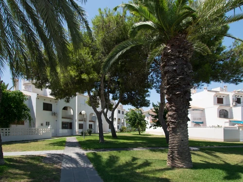 Bungalow Torrevieja, 1 dormitorio, 4 personas - photo_1011865137149