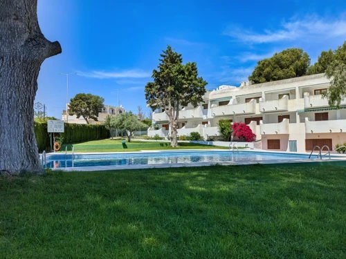 Studio Alcossebre, 1 pièce, 4 personnes - photo_1011865153076