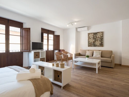 Studio Málaga, studio flat, 4 persons - photo_1011865190768