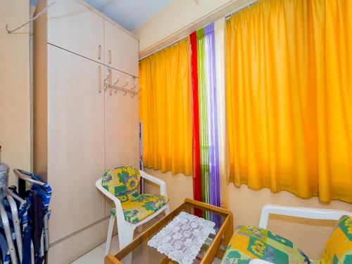 Estudio Torrevieja, estudio, 3 personas - photo_1011865194037