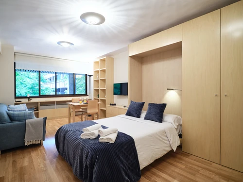 Appartement Madrid, 2 pièces, 3 personnes - photo_1011865207637