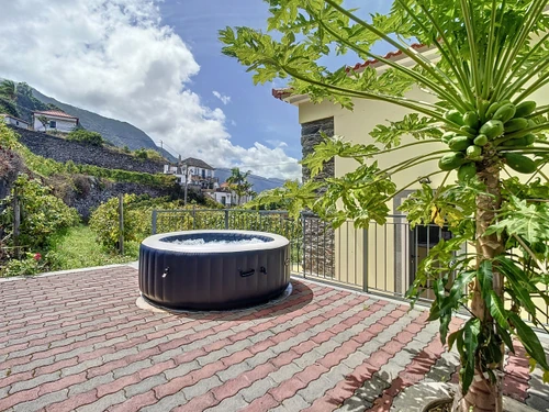 Appartement Ponta Delgada, 2 pièces, 2 personnes - photo_1011865214145