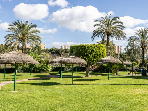 Apartment Benalmádena, 1 bedroom, 3 persons - photo_1011865229960