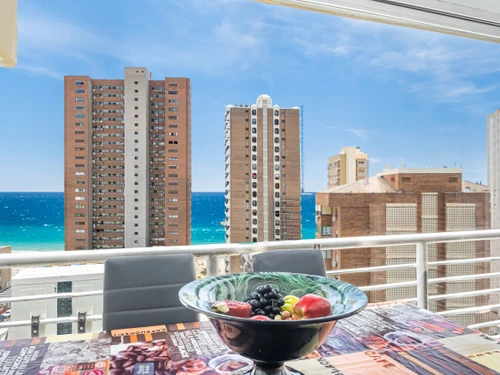 Studio Benidorm, Studio, 4 Personen - photo_1011865242055