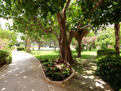 Apartment Cabo Huertas, 2 bedrooms, 6 persons - photo_1011865247509