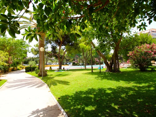 Apartment Cabo Huertas, 2 bedrooms, 6 persons - photo_1011865247509