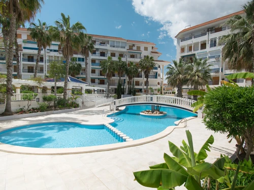 Apartamento Torrevieja, La Mata, 1 dormitorio, 4 personas - photo_1011865247812