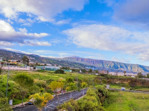 Apartamento La Orotava, 3 dormitorios, 5 personas - photo_1011865257127