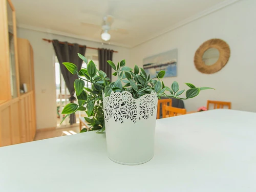 Apartamento Torrevieja, La Mata, 2 dormitorios, 4 personas - photo_1011865265052