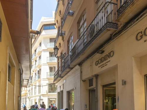 Apartment Málaga, 1 bedroom, 2 persons - photo_1011865273673