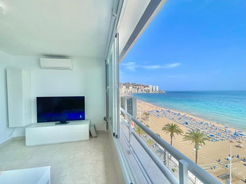 Studio Benidorm, studio flat, 2 persons - photo_1011865276289
