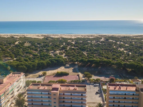 Apartment Torrevieja, La Mata, 1 bedroom, 4 persons - photo_1011865278841