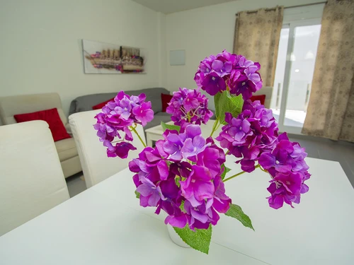 Bungalow Torrevieja, 2 dormitorios, 4 personas - photo_1011865287490