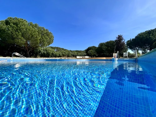 Appartement Alvor, 3 pièces, 6 personnes - photo_1011865290670
