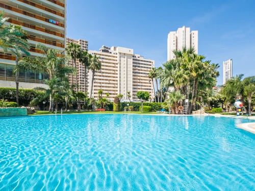 Apartment Benidorm, 1 bedroom, 4 persons - photo_1011865296288