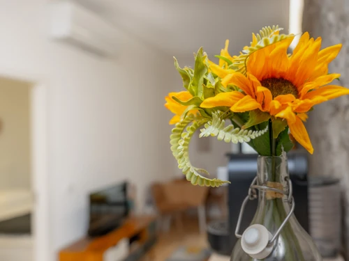 Apartment Porto, 1 bedroom, 2 persons - photo_1011865308849