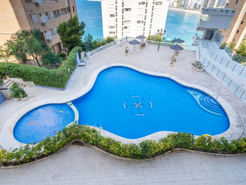 Ferienwohnung Benidorm, 1 Schlafzimmer, 4 Personen - photo_1011865314444