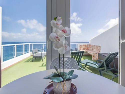 Studio Galdar, 1 pièce, 3 personnes - photo_1011865314730