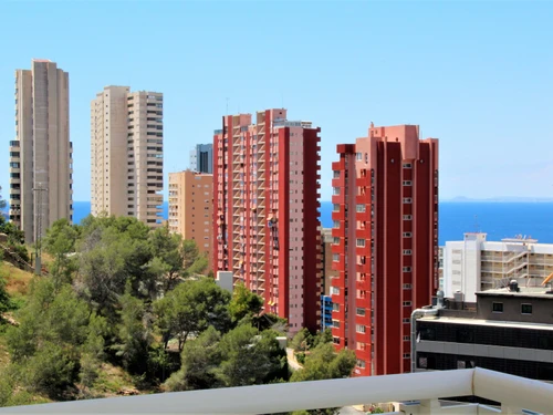 Ferienwohnung Benidorm, 1 Schlafzimmer, 4 Personen - photo_1011865323576