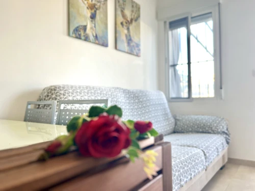 Apartment Santa Pola, 1 bedroom, 4 persons - photo_1011865347566