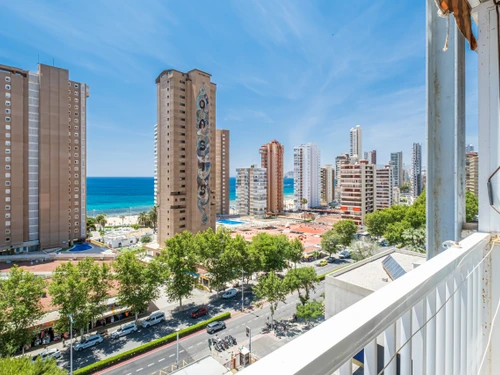 Studio Benidorm, studio flat, 3 persons - photo_1011865350209