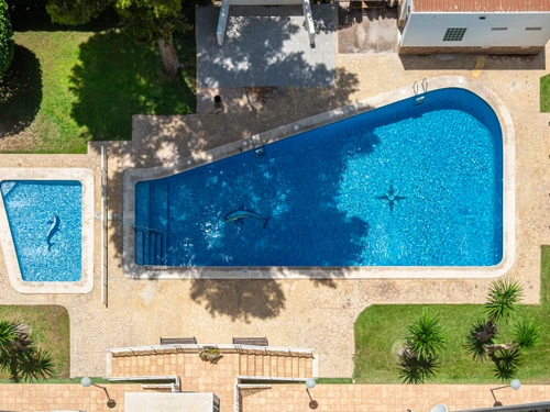 Studio Benidorm, studio flat, 3 persons - photo_1011865350209