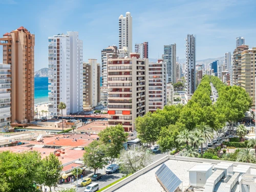 Studio Benidorm, studio flat, 3 persons - photo_1011865350209