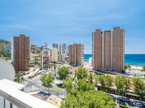 Studio Benidorm, studio flat, 3 persons - photo_1011865350209