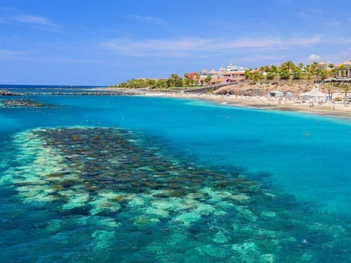Estudio Costa Adeje, estudio, 3 personas - photo_1011865368390